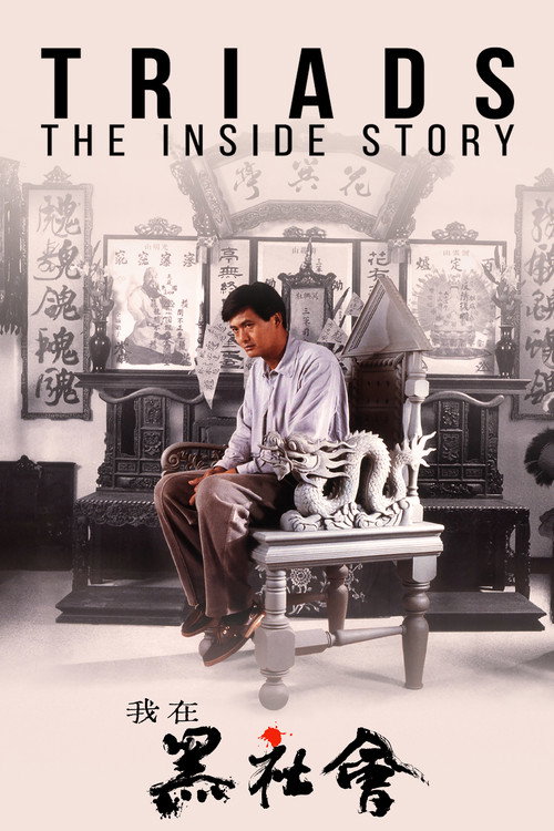 Póster de Triads: The Inside Story