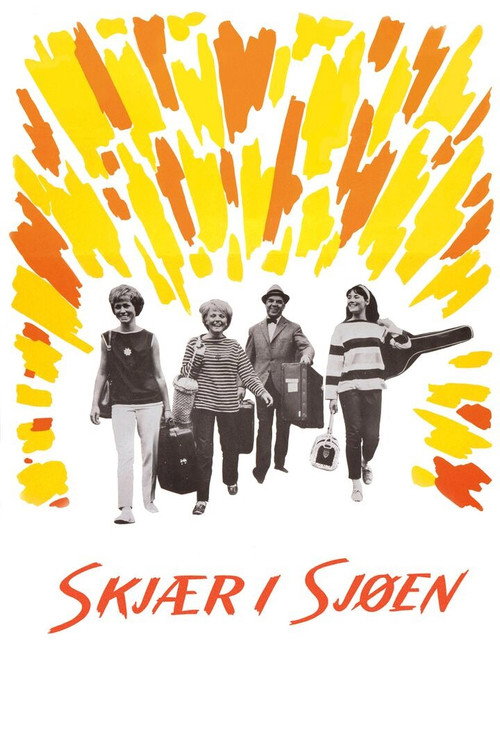 Póster de Unexpected Summer