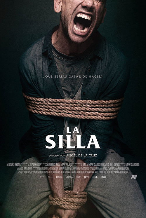 Póster de La silla