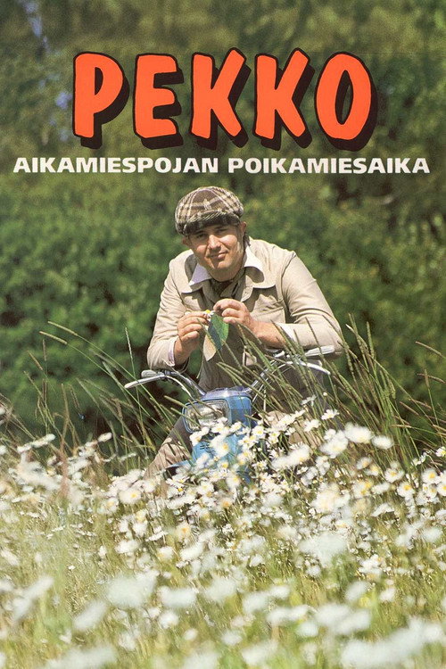Póster de Pekko aikamiespojan poikamiesaika
