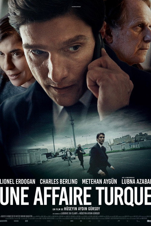 Póster de A Turkish Case