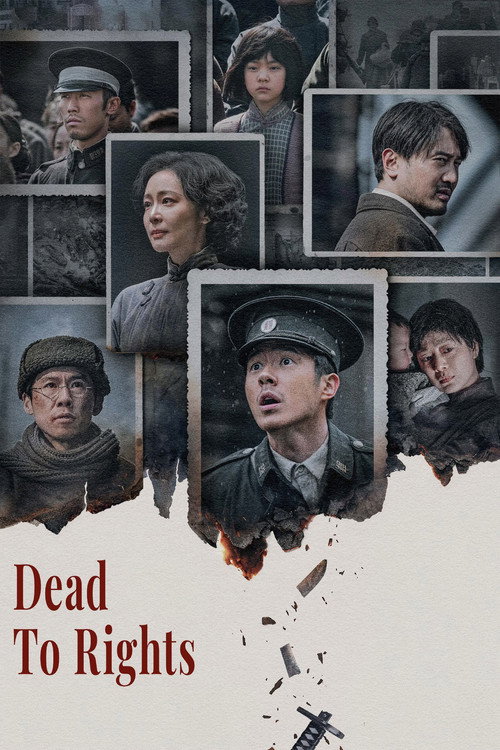 Póster de Dead to Rights