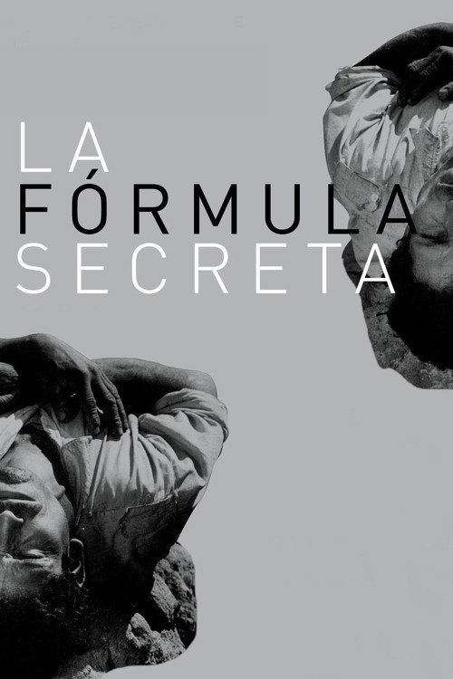 Póster de La fórmula secreta