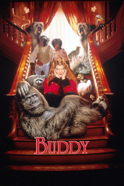 Pôster de Buddy, Meu Gorila Favorito