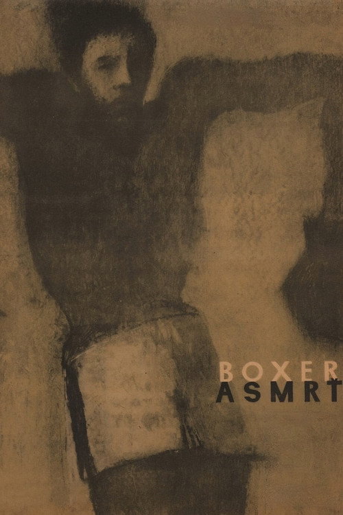 Póster de The Boxer and Death