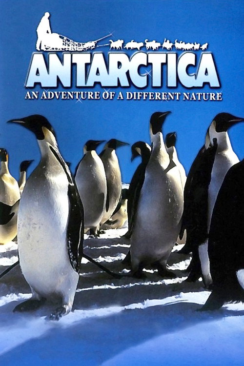 Póster de Antarctica: An Adventure of a Different Nature