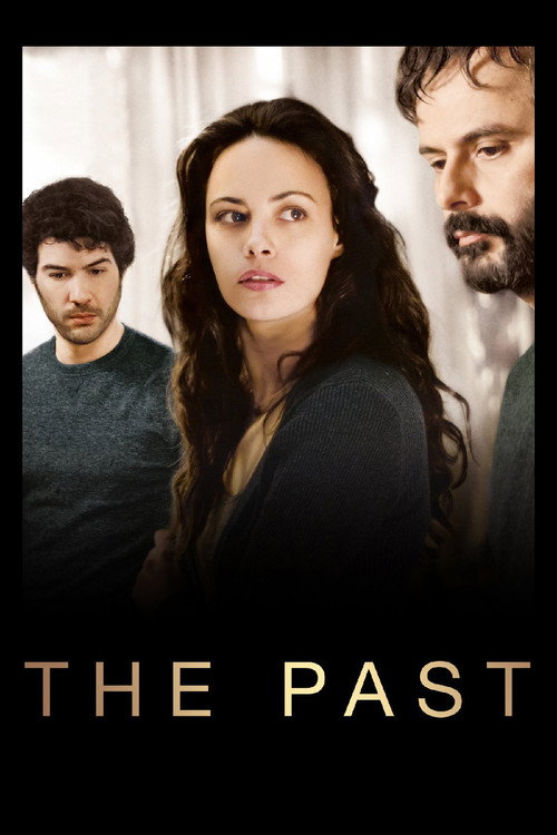 Póster de The Past