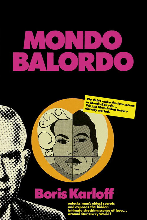 Póster de A Fool's World