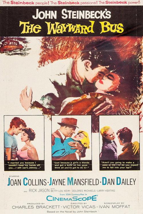 Poster of The Wayward Bus