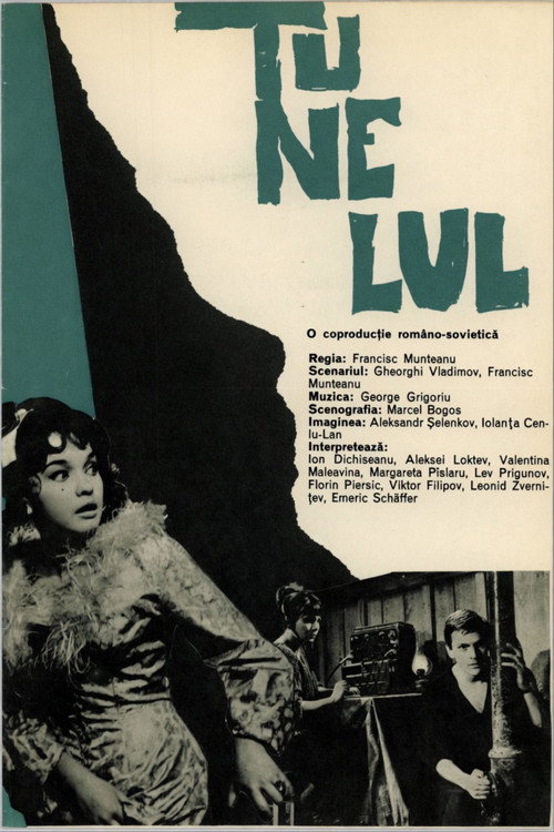 Póster de The Tunnel