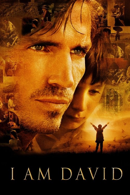 Póster de I Am David