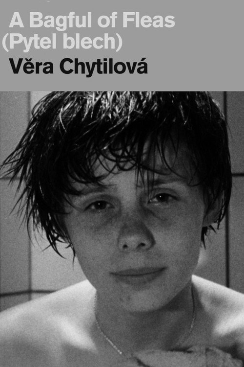 Póster de A Bagful of Fleas