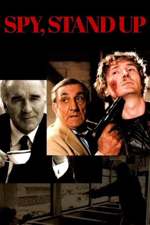 Póster de Spy, Stand Up