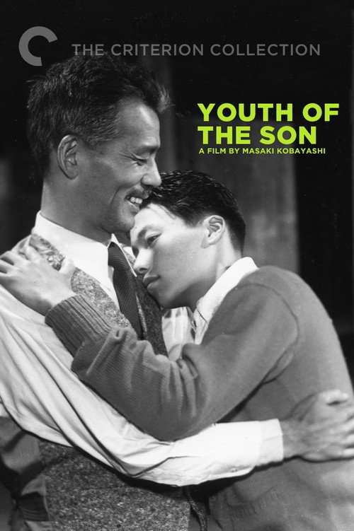 Póster de Youth of the Son