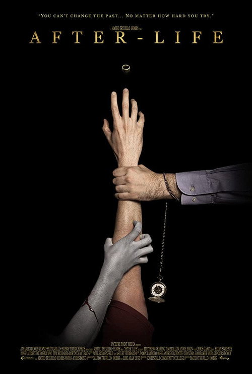 Poster von After-Life