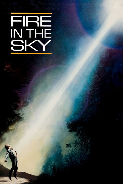 Póster de Fire in the Sky