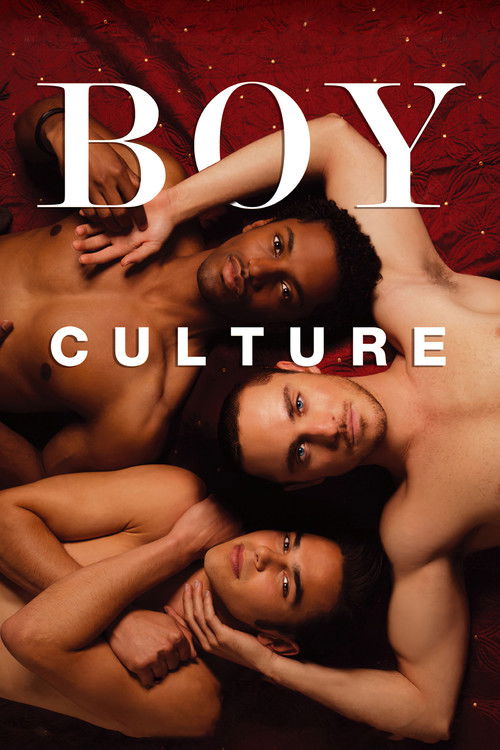 Póster de Boy Culture