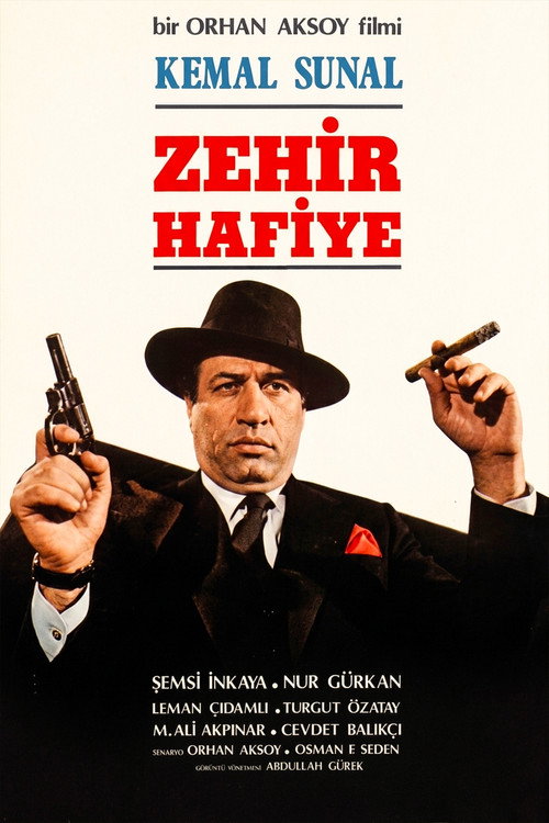 Póster de Zehir Hafiye