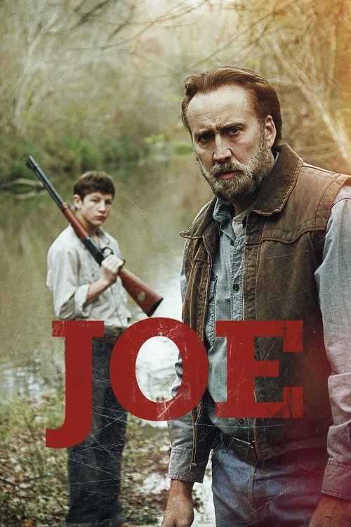 Pôster de Joe