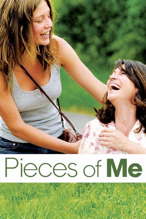 Póster de Pieces of Me