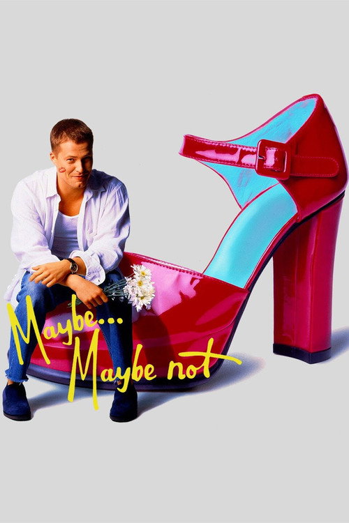 Póster de Maybe... Maybe Not