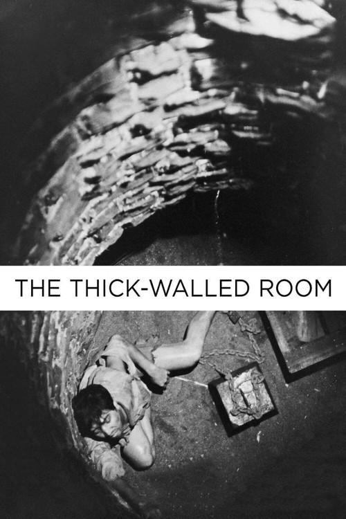 Póster de The Thick-Walled Room