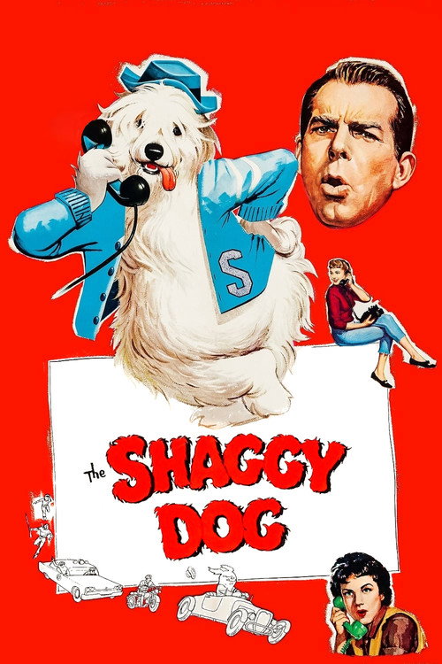 Póster de The Shaggy Dog