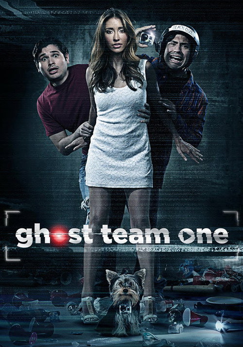 Póster de Ghost Team One