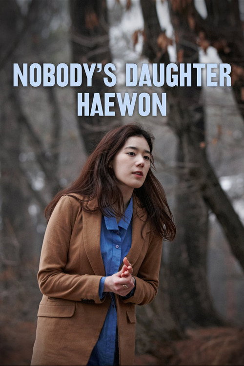 Póster de Nobody's Daughter Haewon