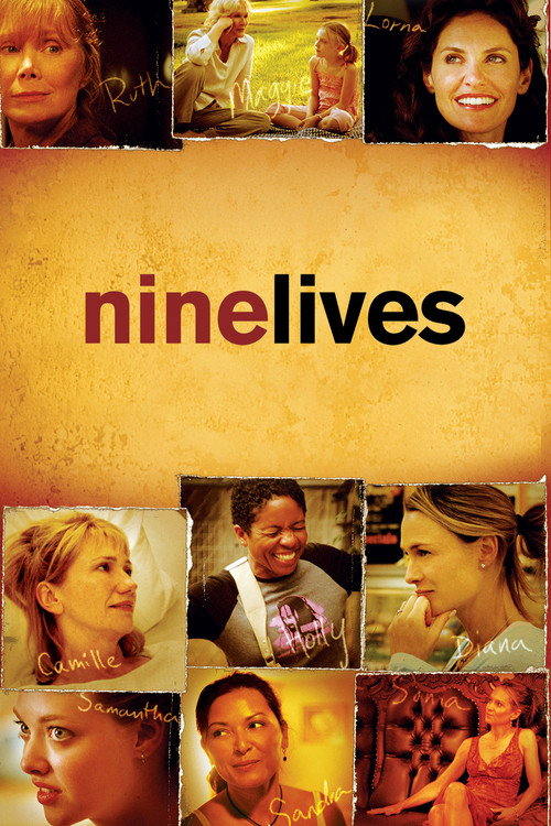 Póster de Nine Lives
