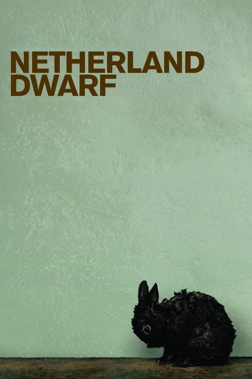 Póster de Netherland Dwarf