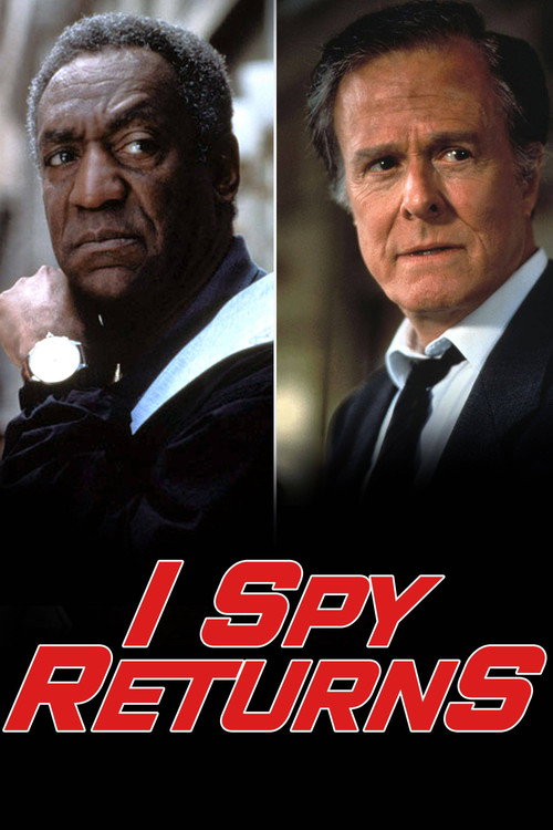 Póster de I Spy Returns