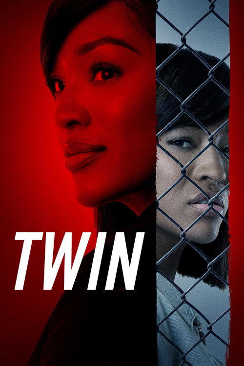 Póster de Twin