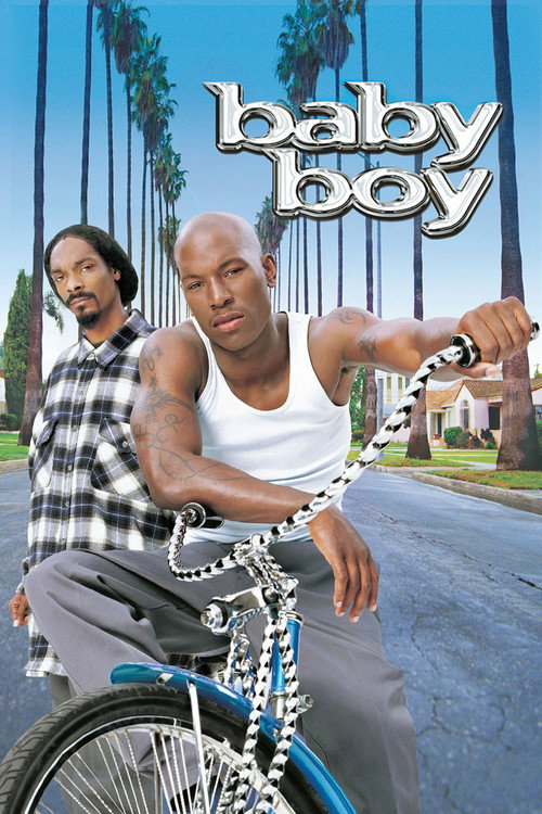 Póster de Baby Boy
