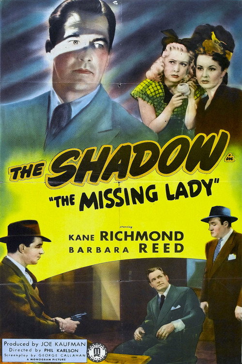 Poster von The Missing Lady