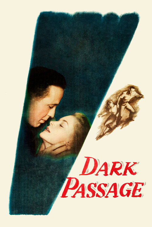 Póster de Dark Passage