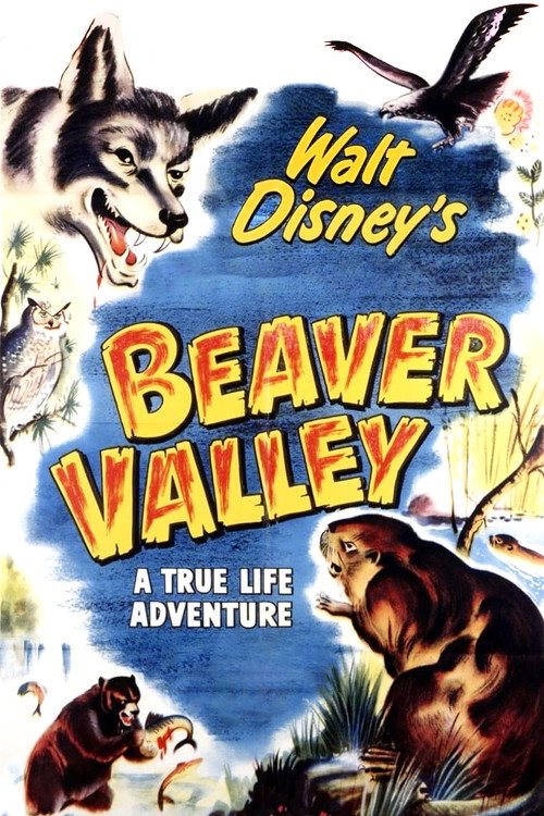Póster de Beaver Valley