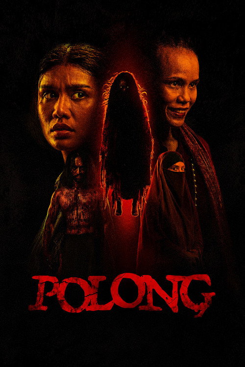 Póster de Polong
