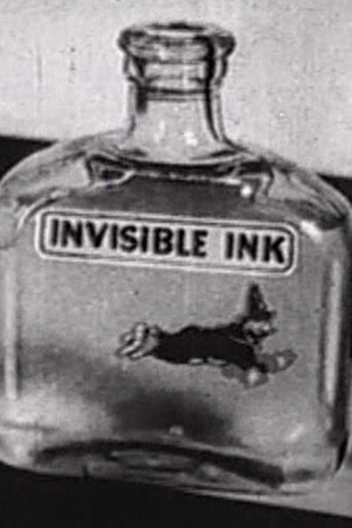 Póster de Invisible Ink