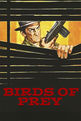 Póster de Birds of Prey