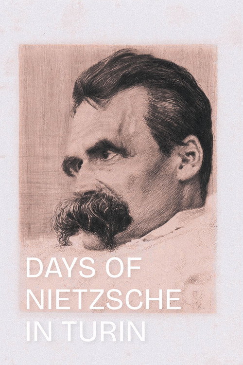 Locandina di I giorni di Nietzsche a Torino