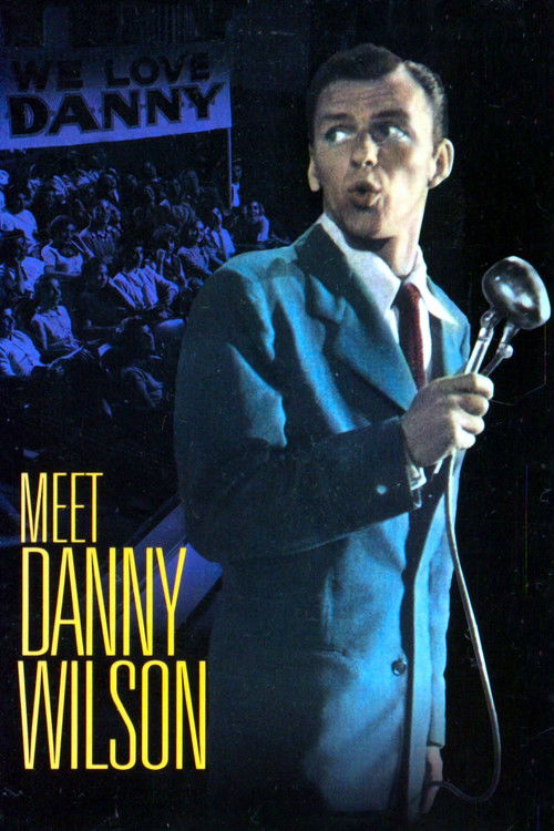Póster de Meet Danny Wilson