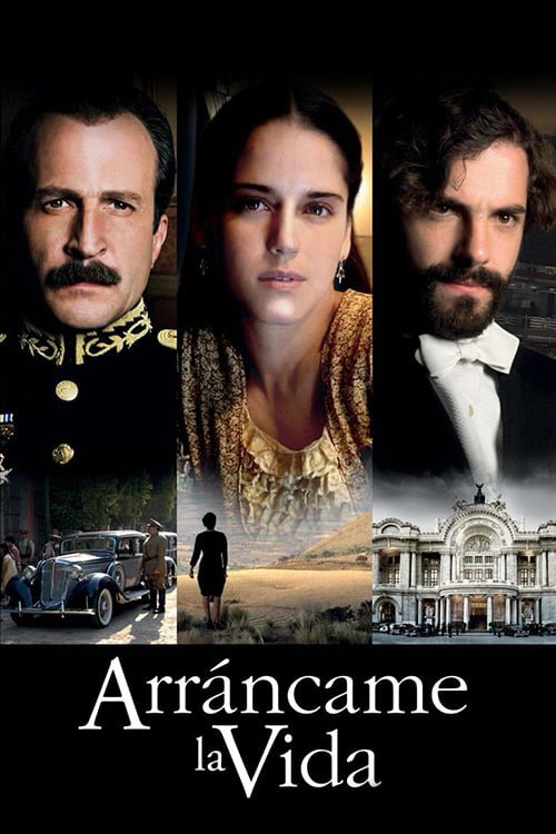 Póster de Arráncame la vida