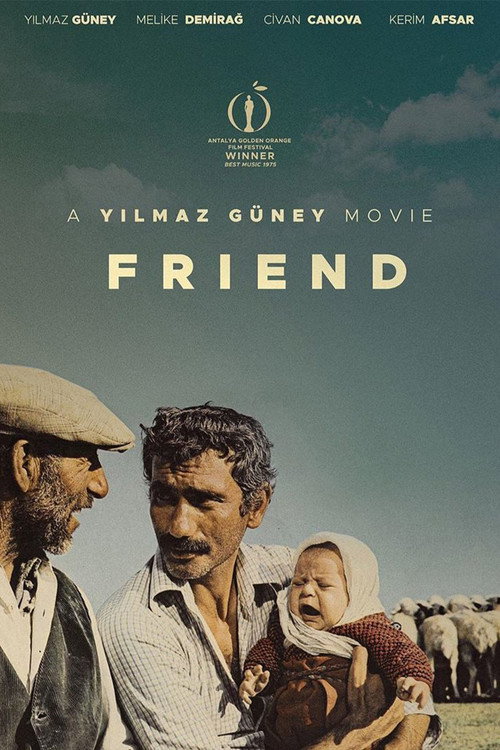 Póster de Friend