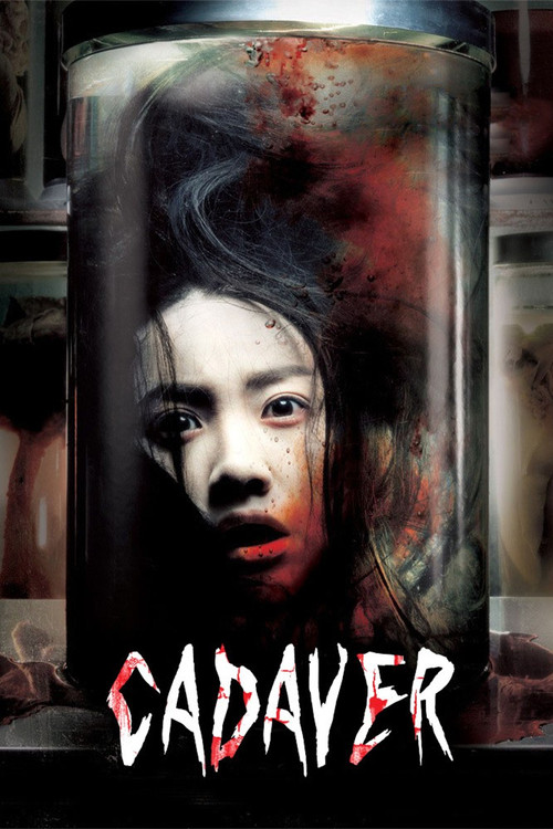 Póster de Cadaver
