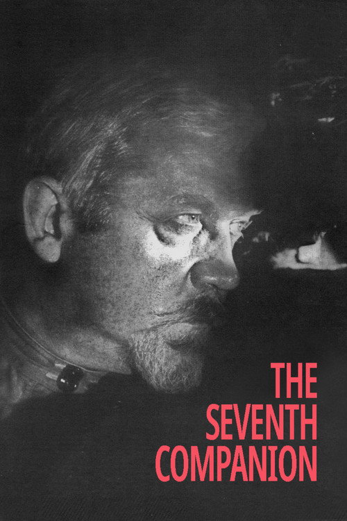 Póster de The Seventh Companion