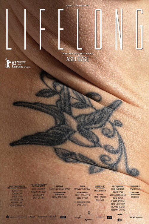 Póster de Lifelong