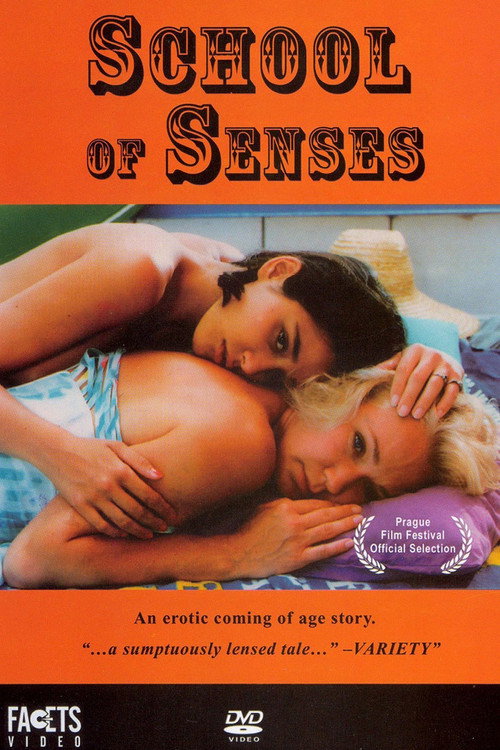 Póster de School of Senses