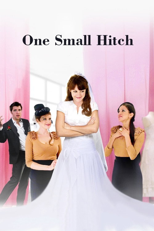 Póster de One Small Hitch