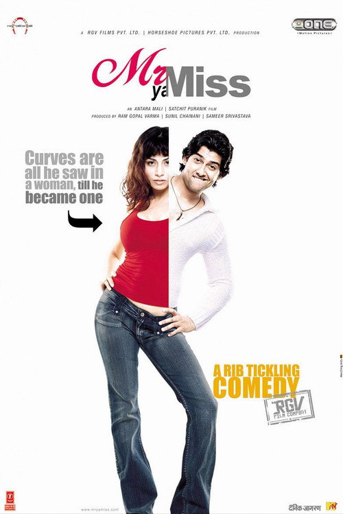 Poster von Mr Ya Miss